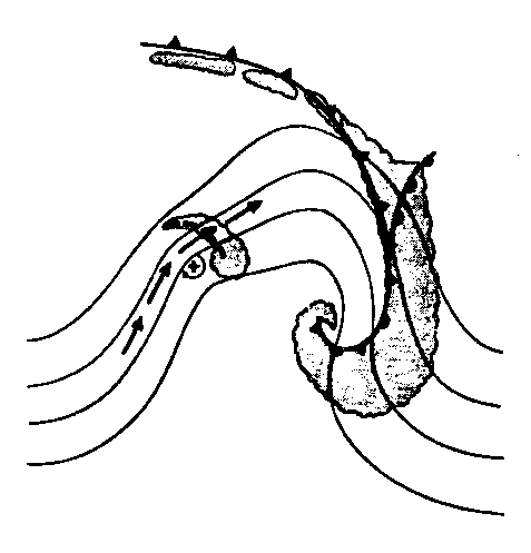 Ciclone